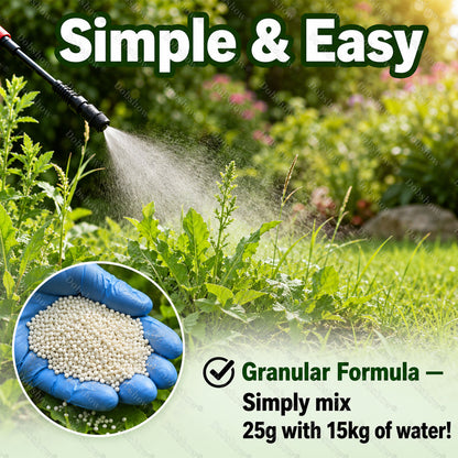 Herzlichen Glückwunsch! Sie sind heute unser 100. Kunde und profitieren von einem Sonderangebot: ein zweites Produkt mit 88 % Rabatt!