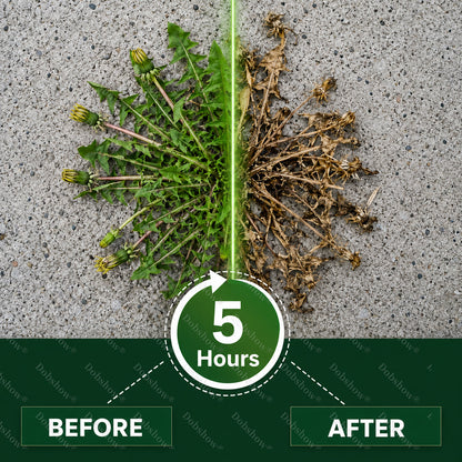 Herzlichen Glückwunsch! Sie sind heute unser 100. Kunde und profitieren von einem Sonderangebot: ein zweites Produkt mit 88 % Rabatt!