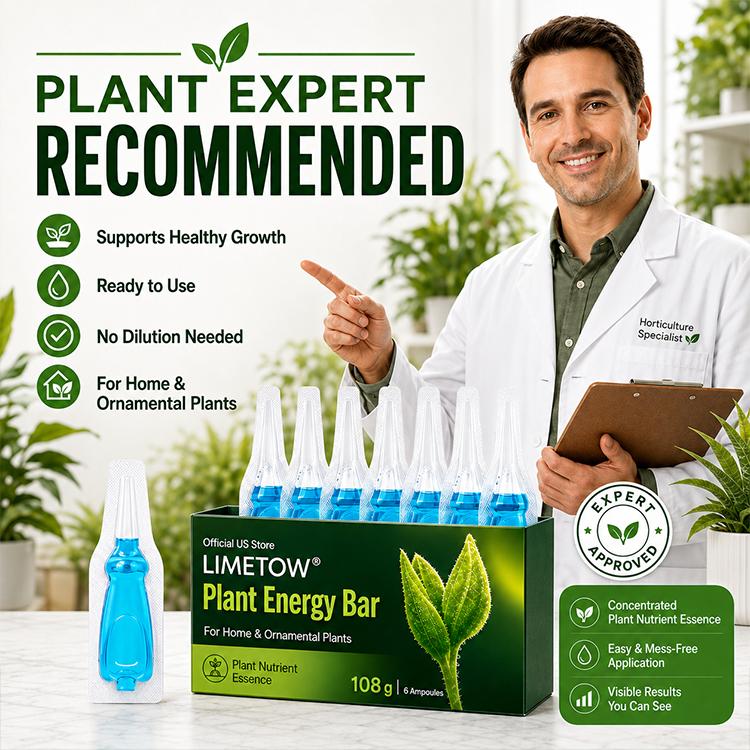 🥦𝐎𝐟𝐟𝐢𝐳𝐢𝐞𝐥𝐥𝐞𝐫 𝐒𝐡𝐨𝐩 LIMETOW® Plant Energy Stick: sofort einsatzbereit – kein Anmischen erforderlich – versorgt die Wurzeln direkt über das Erdreich mit Nährstoffen.